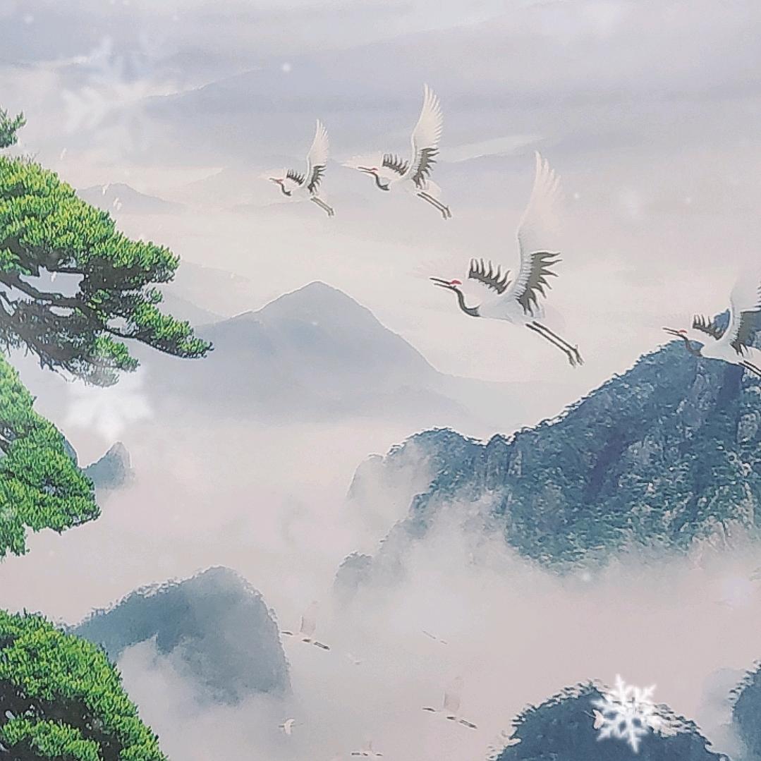 放下