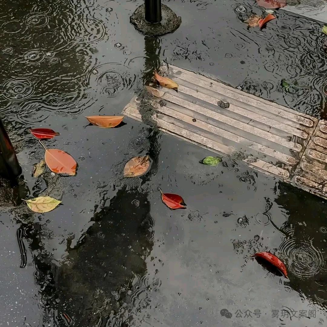 狂飙的蜗牛🐌