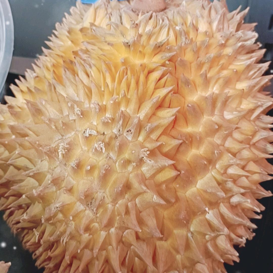 及时行乐
