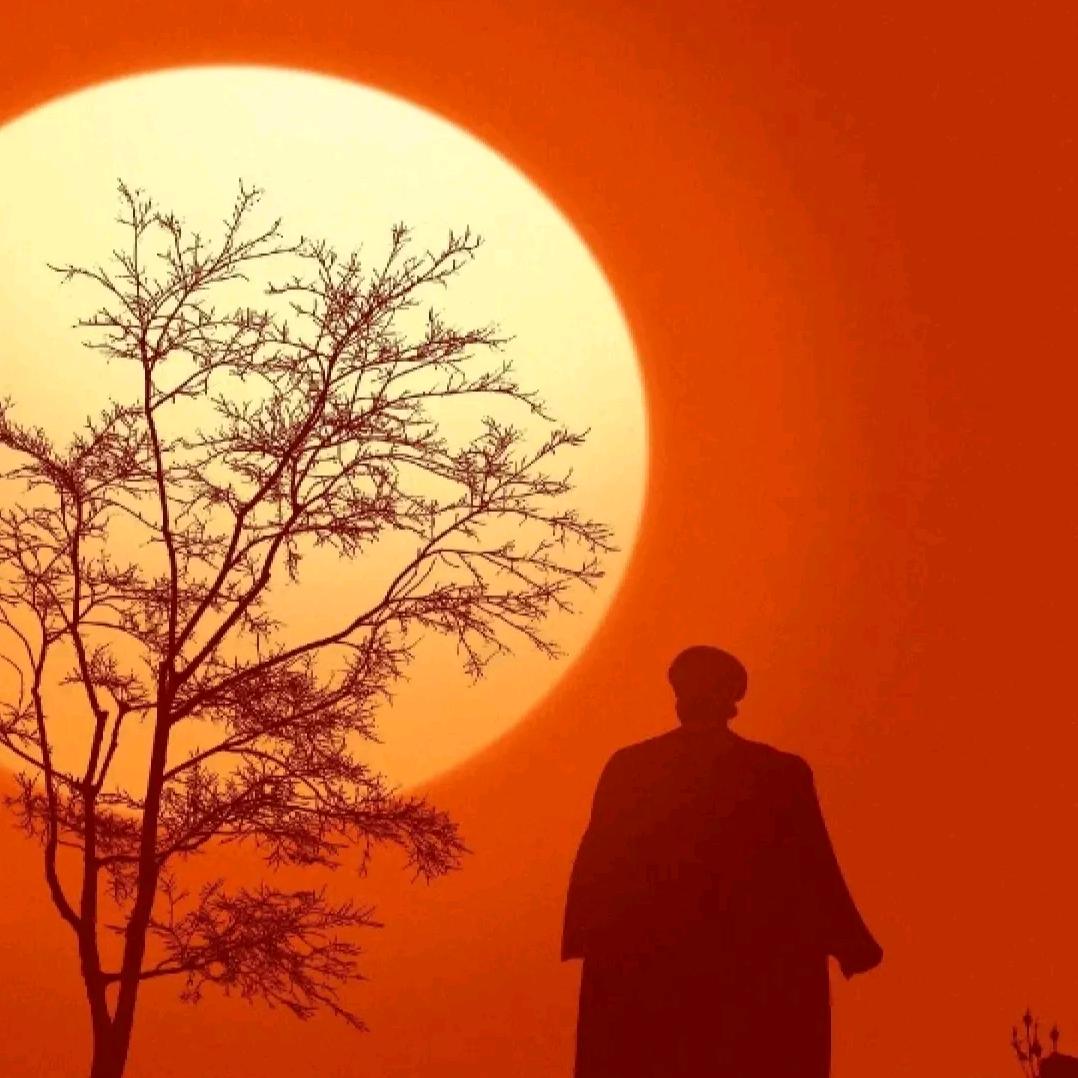 空谷幽兰