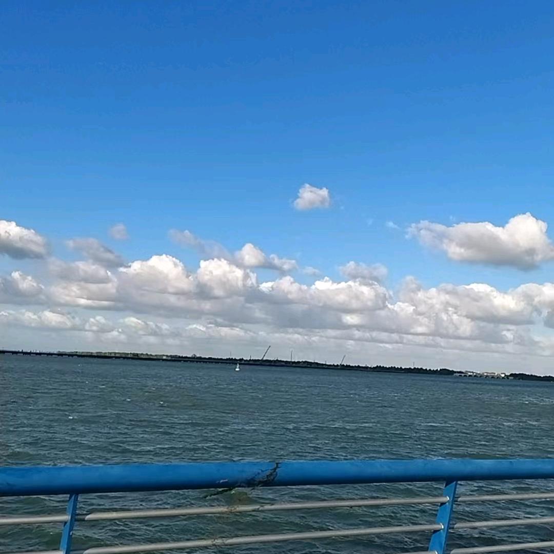 线上陪跑老师（初中段）