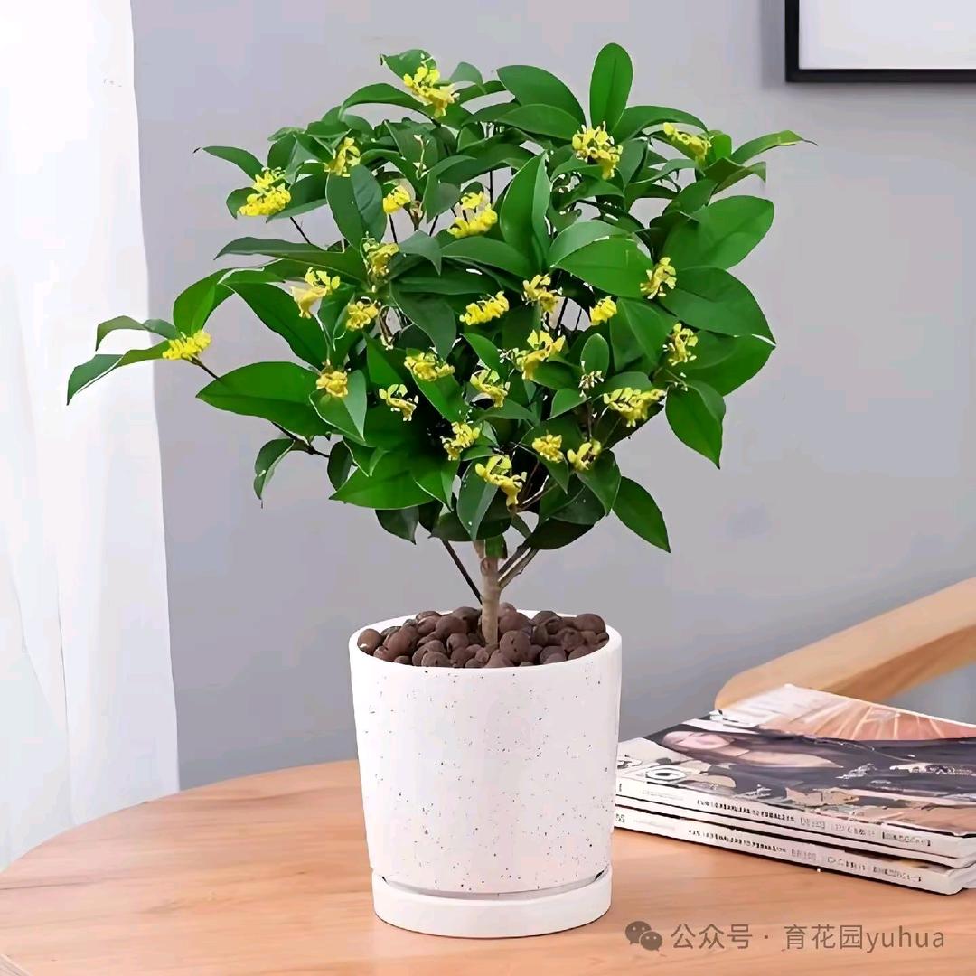 唯一