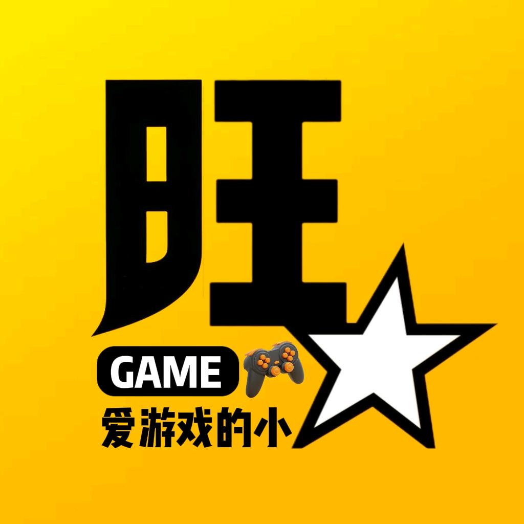 爱游戏的小旺