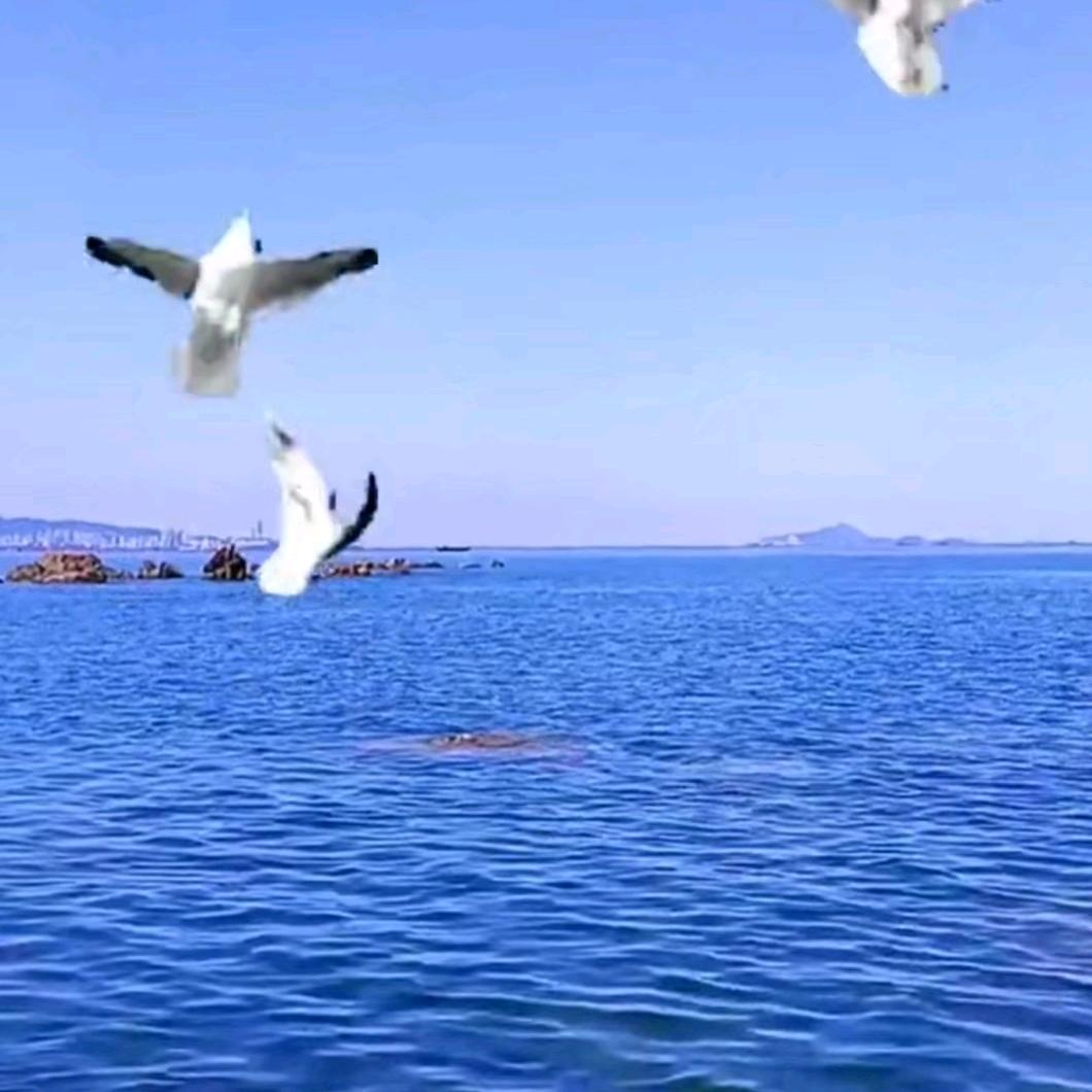 老来乐