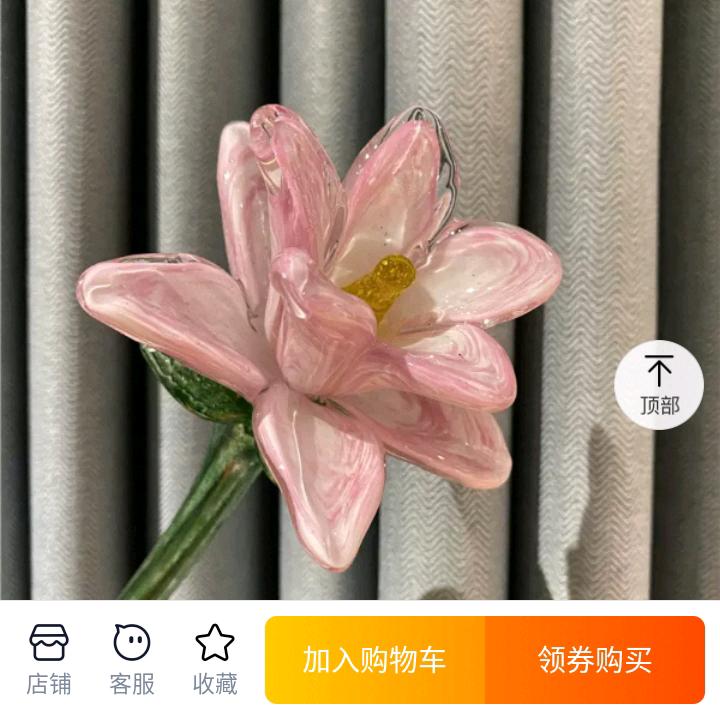 🍀单身贵族🍀