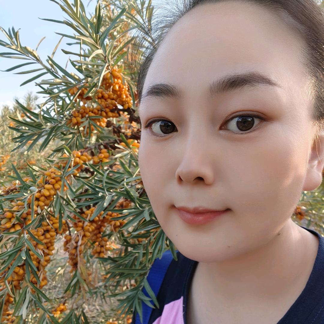 新疆——豫塔缘沙棘原浆