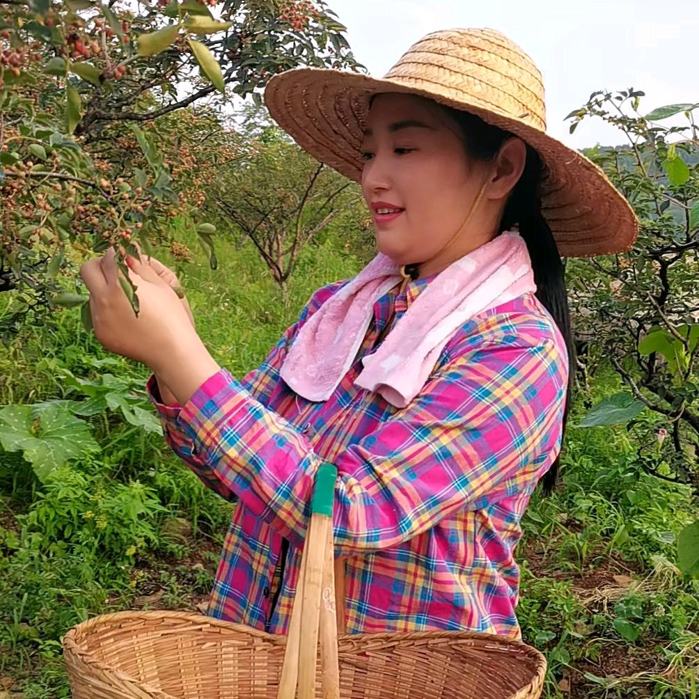 山丹丹花开.
