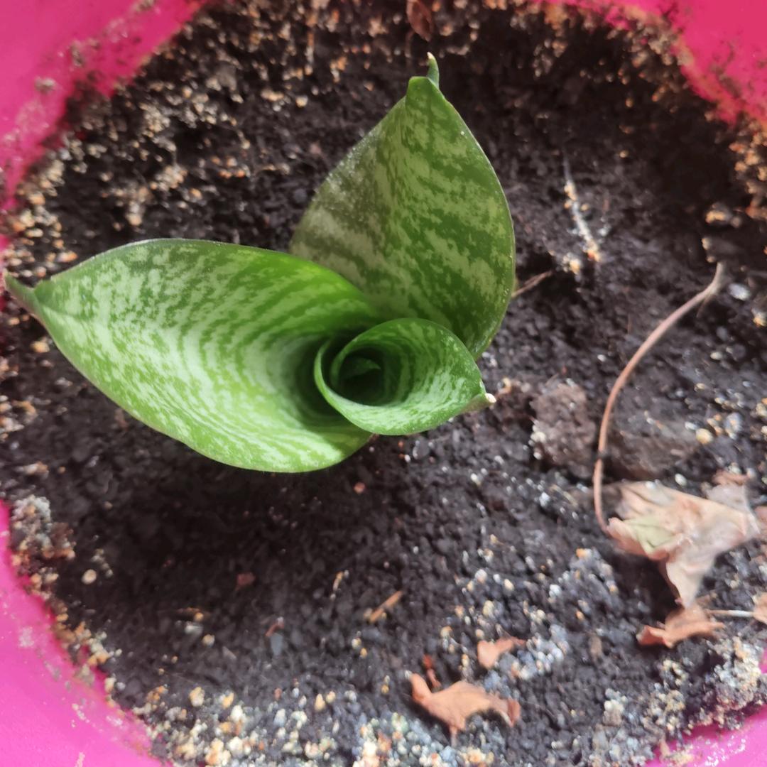 收回温柔，撤回依赖。