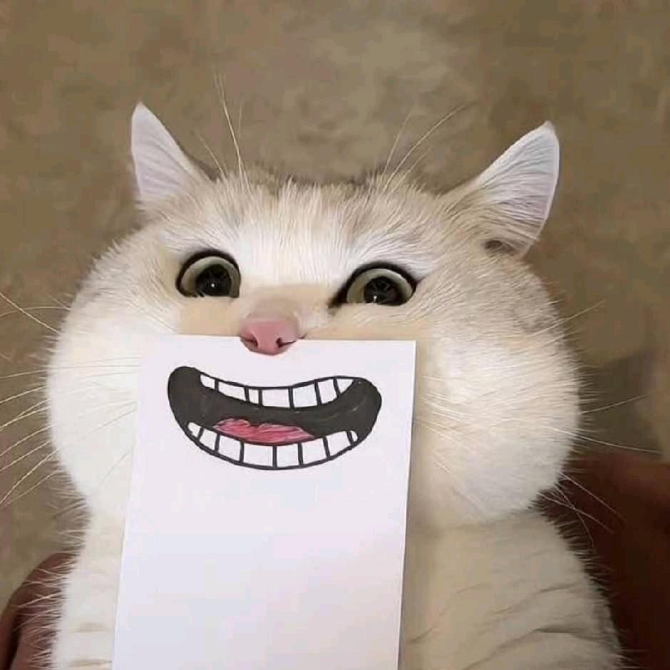 钱钱