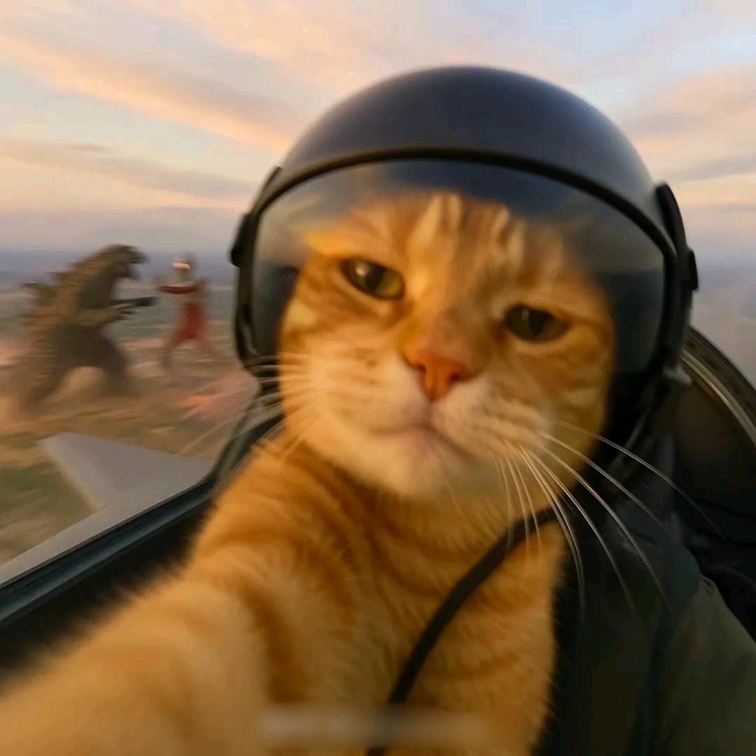 我爱玩硬尾（山地车）