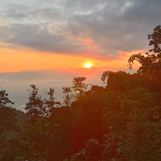 εฅ✧ 不蒋道李♡☆