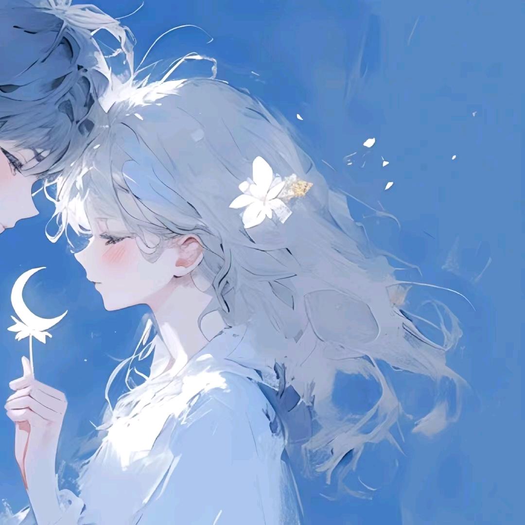 浅舟独行🌈