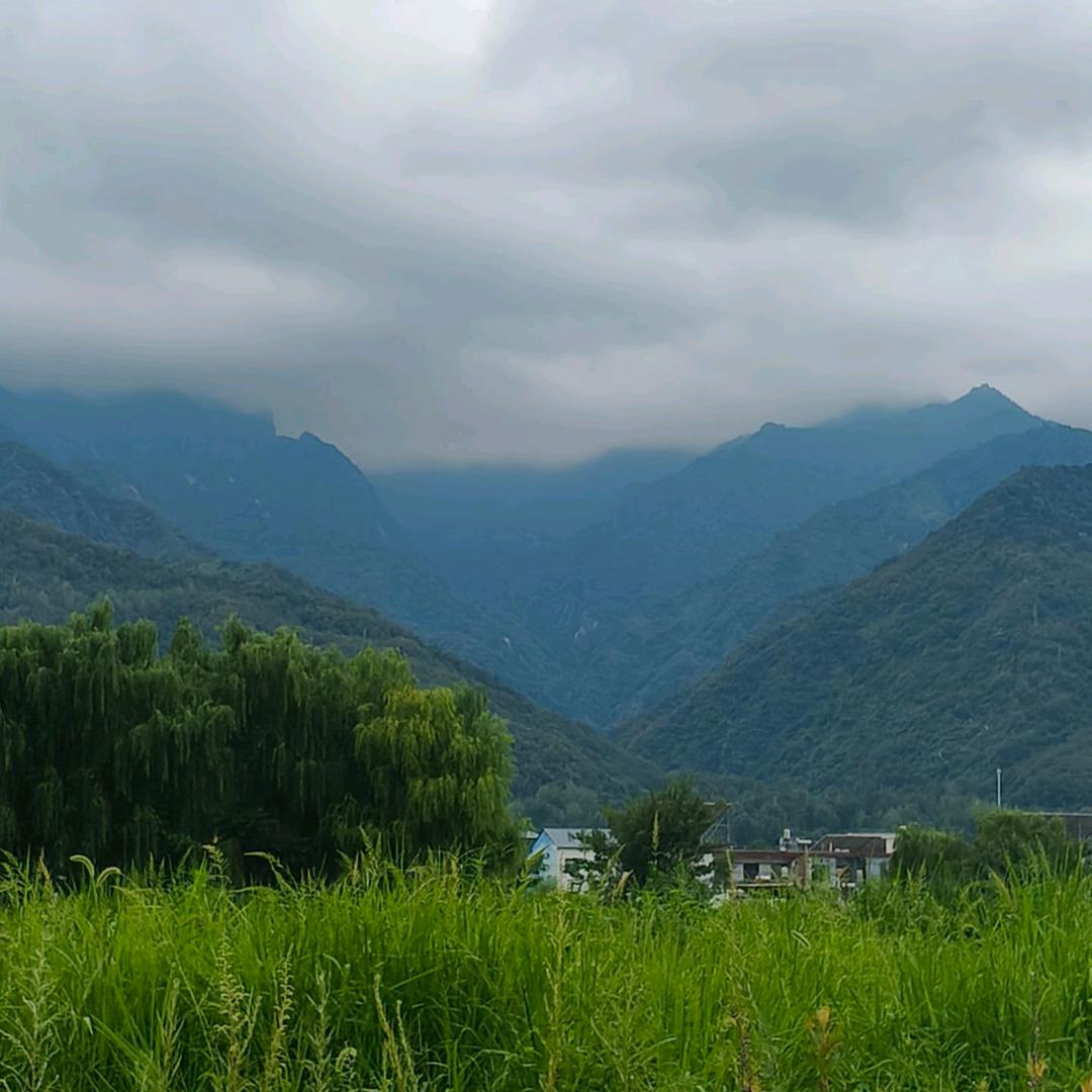 微风不燥，阳光正好🐥🐥🐥🐥🐥