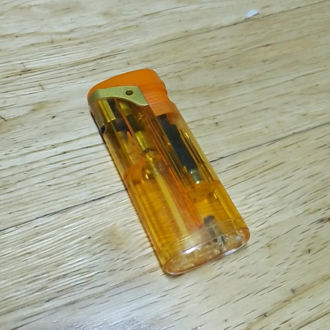 陆地上的鱼