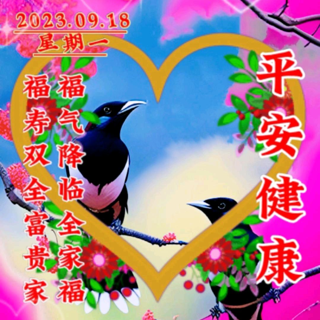 望明月