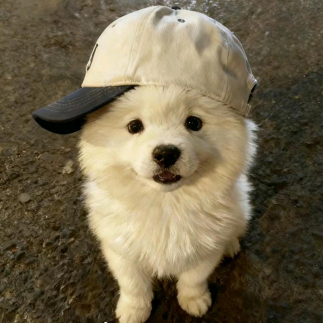 和chuan