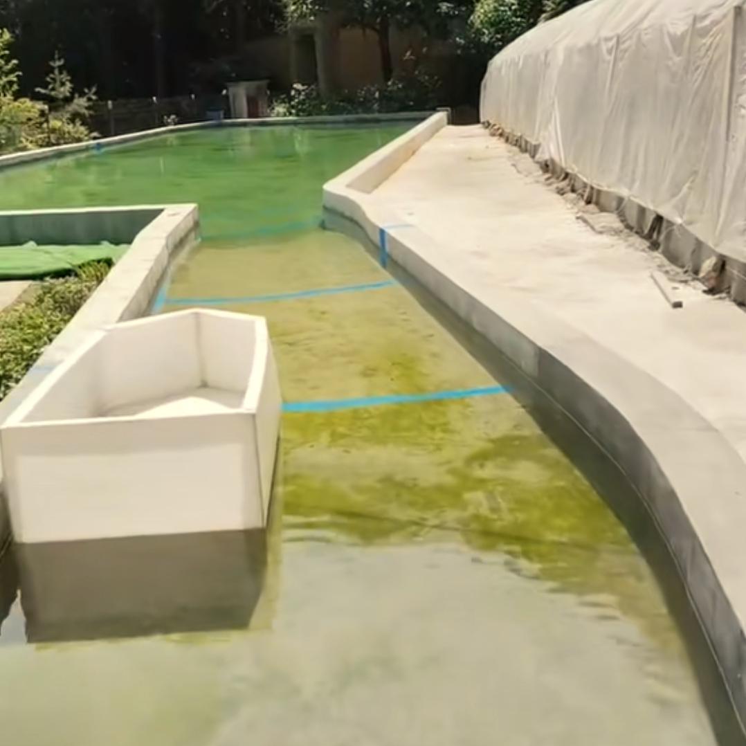 冷水鱼