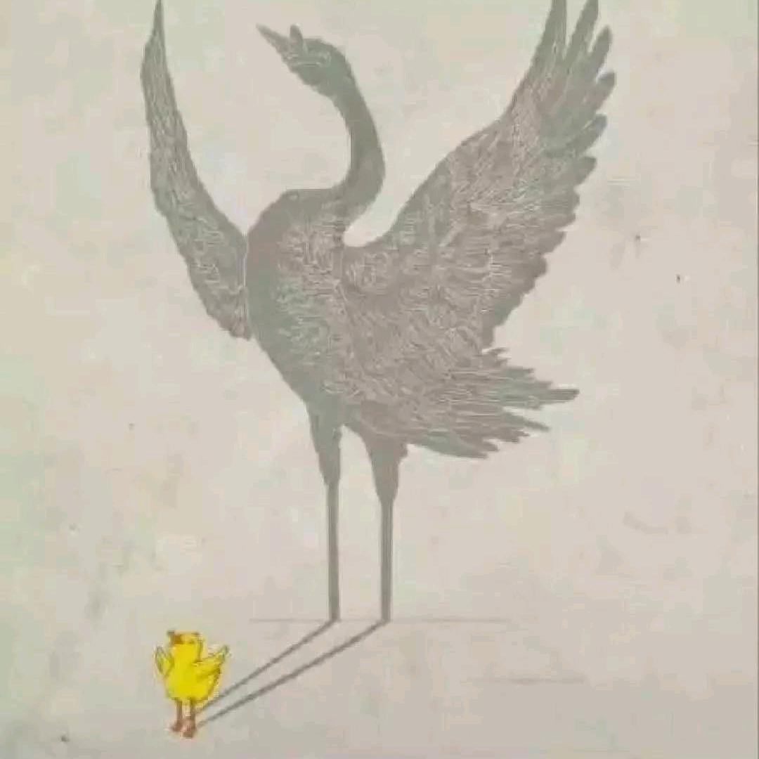 二向箔