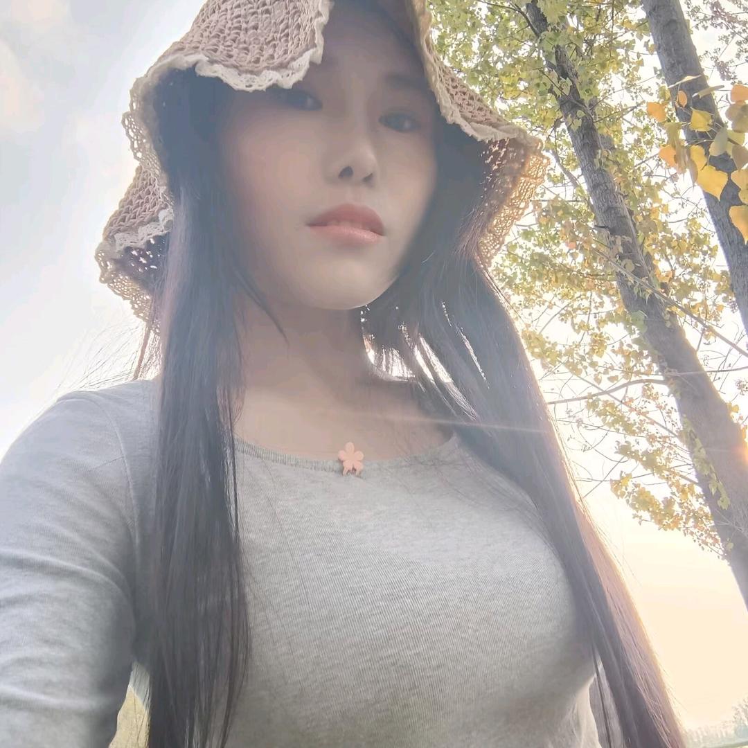 鱼摆摆