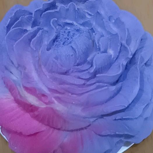 心雨、520容姐☔️