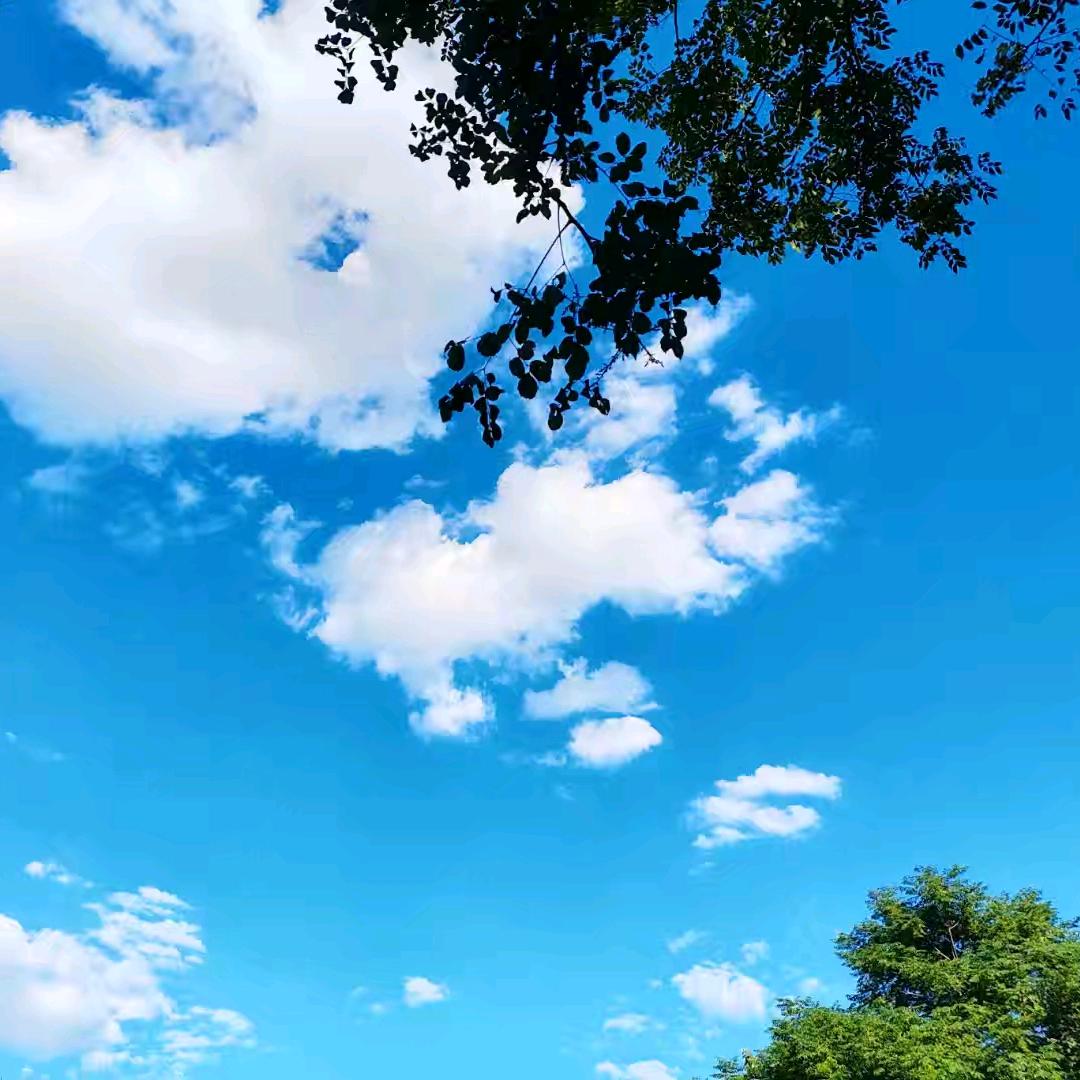 : ༊: 静❦訫⁵²º༊🦋