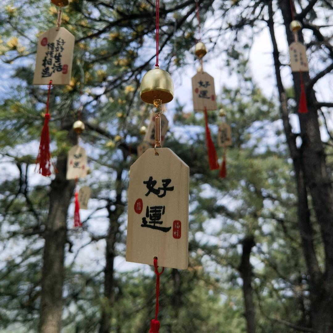 小健健