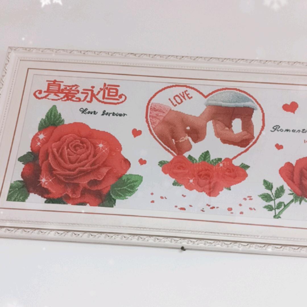 毒刺玫瑰