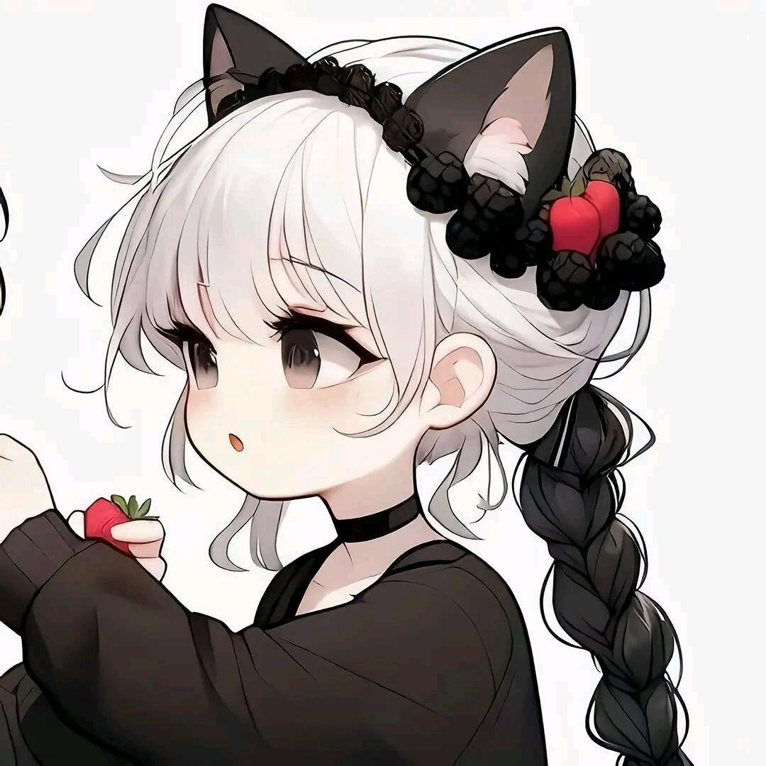佳崽