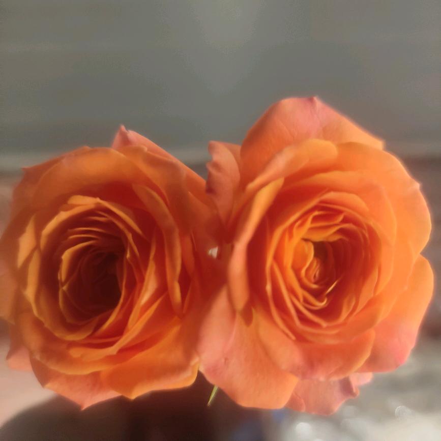 ꧁꧔ꦿ❤️心相yin℘᭄ᩚ꯭ᩚ᭄ᩚ꯭ᩚ꧂