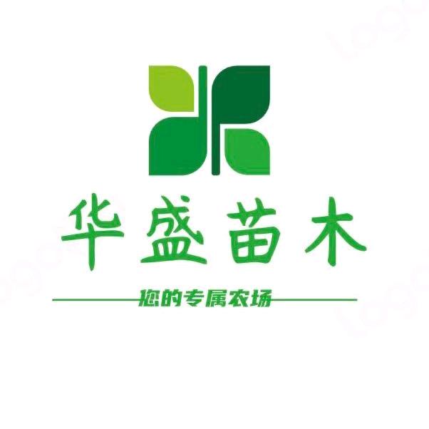 泰安华盛苗木经营有限公司