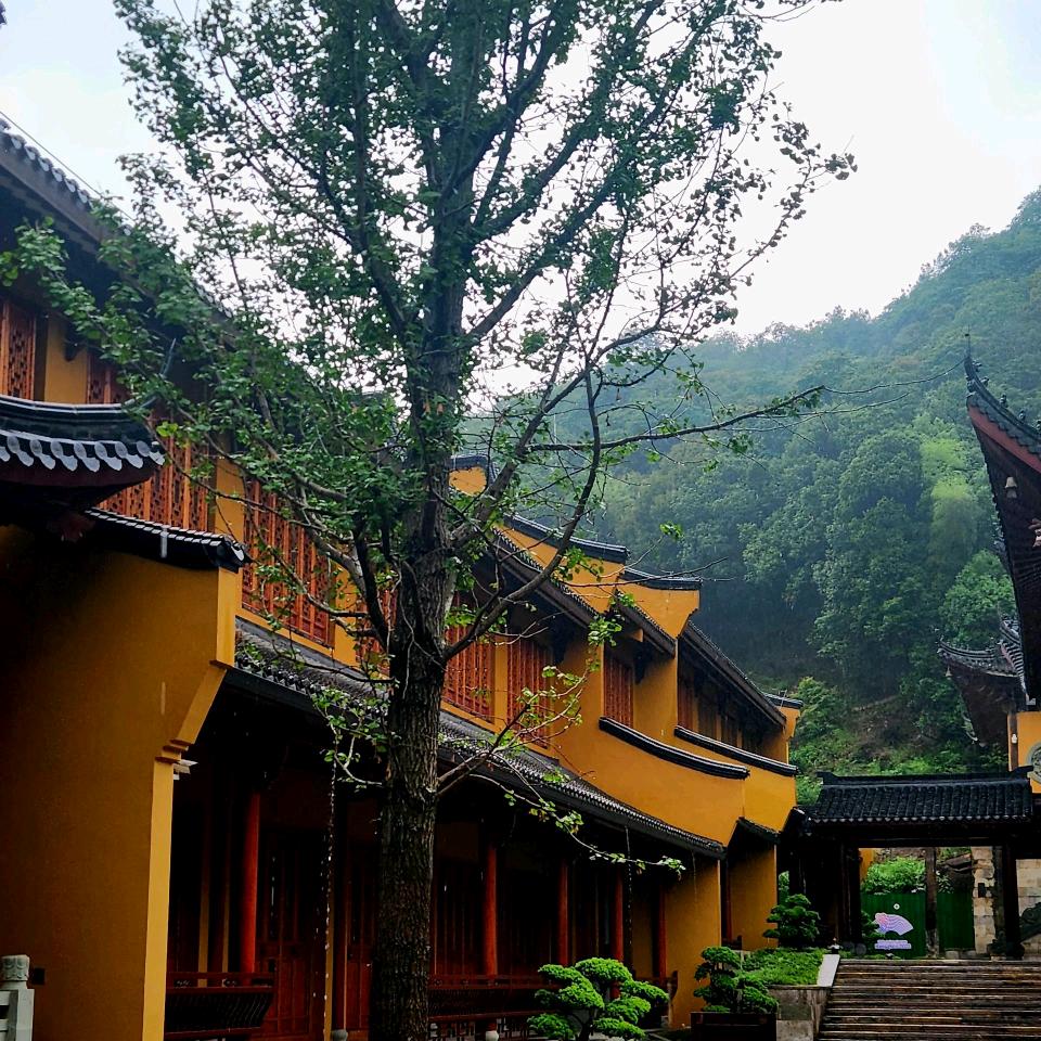 五台山青松居士