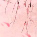 新疆宏格尊仁餐饮推广号