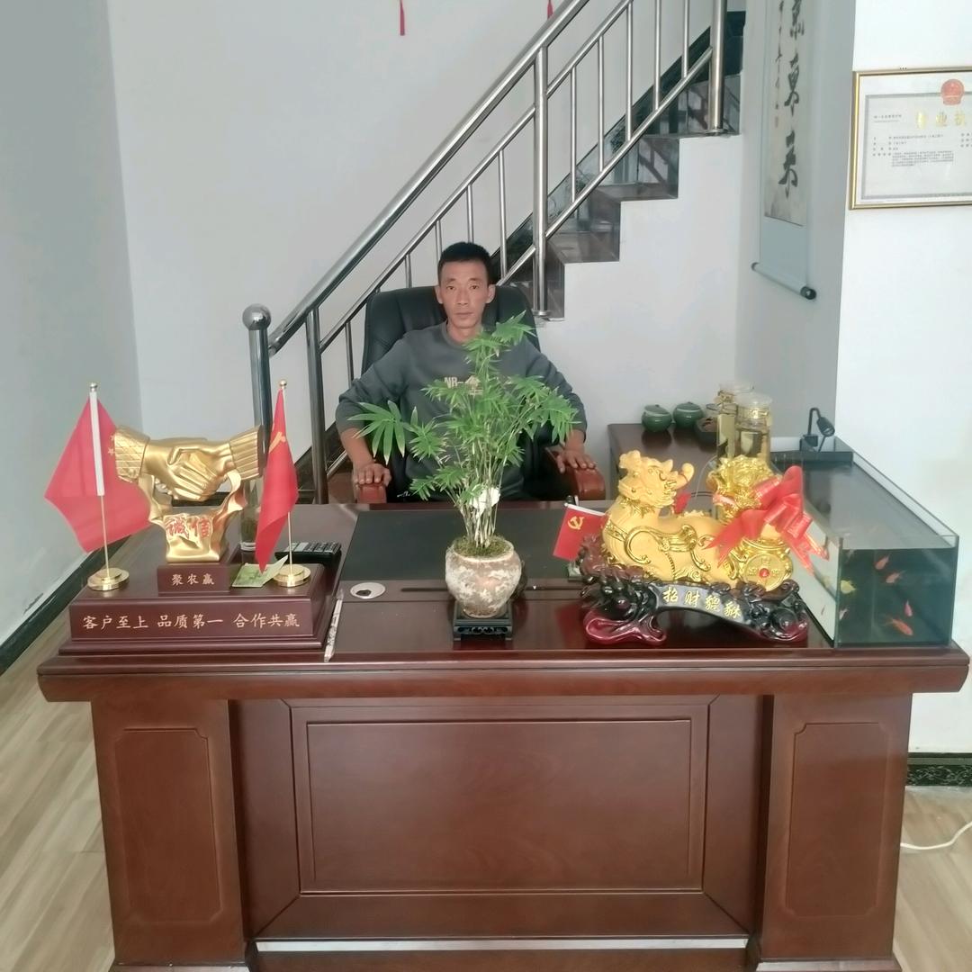 西北龍龍