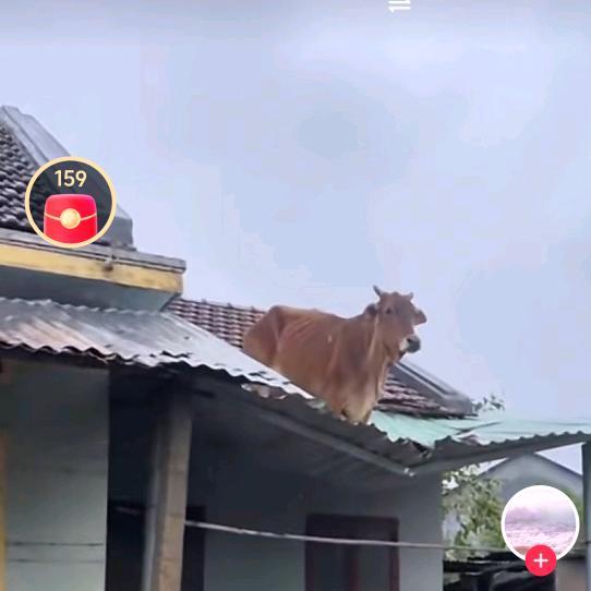 我姓刘