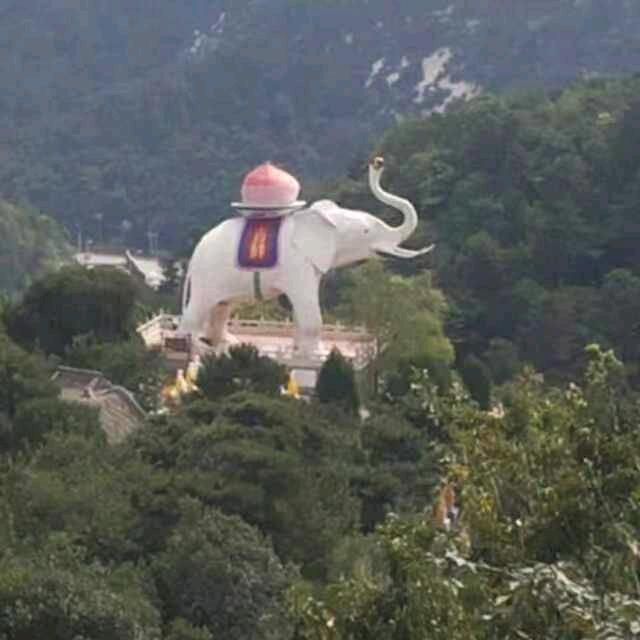 石佛农资经销站