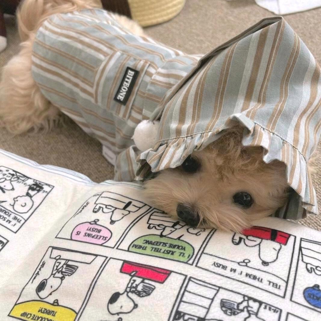 如何  诠释爱