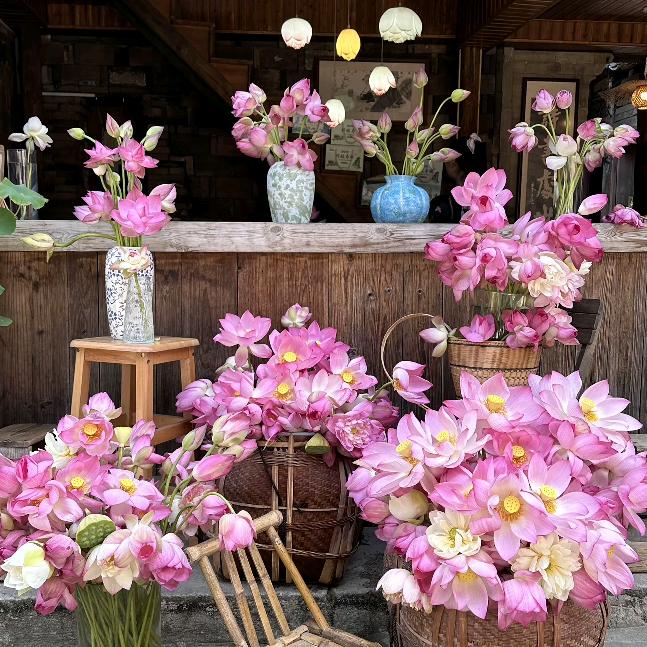 满月🌸