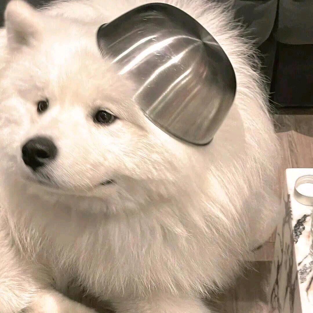 在南极洲吹空调