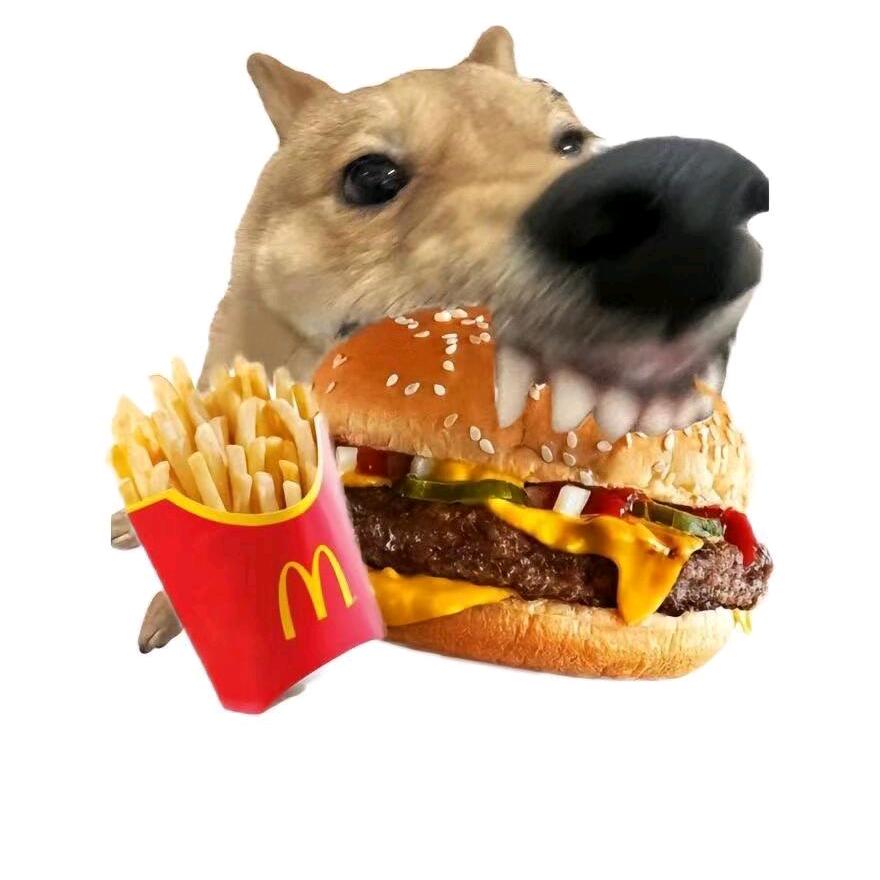 脾气古怪的孤僻小老太