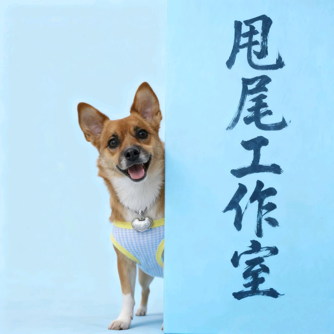 甩尾工作室