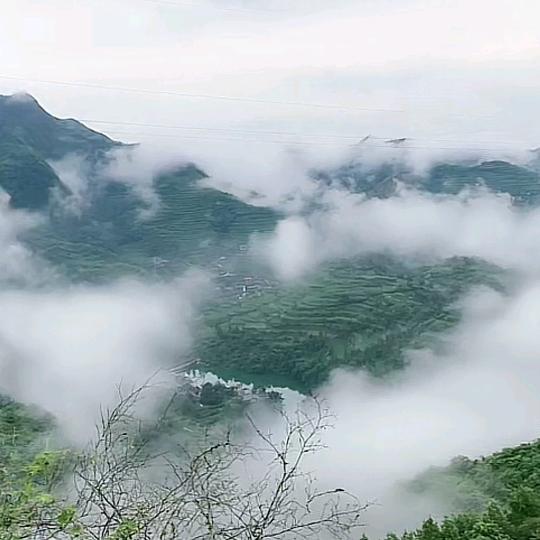 年華乂随風逝