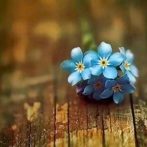 临夏瓷砖王君君