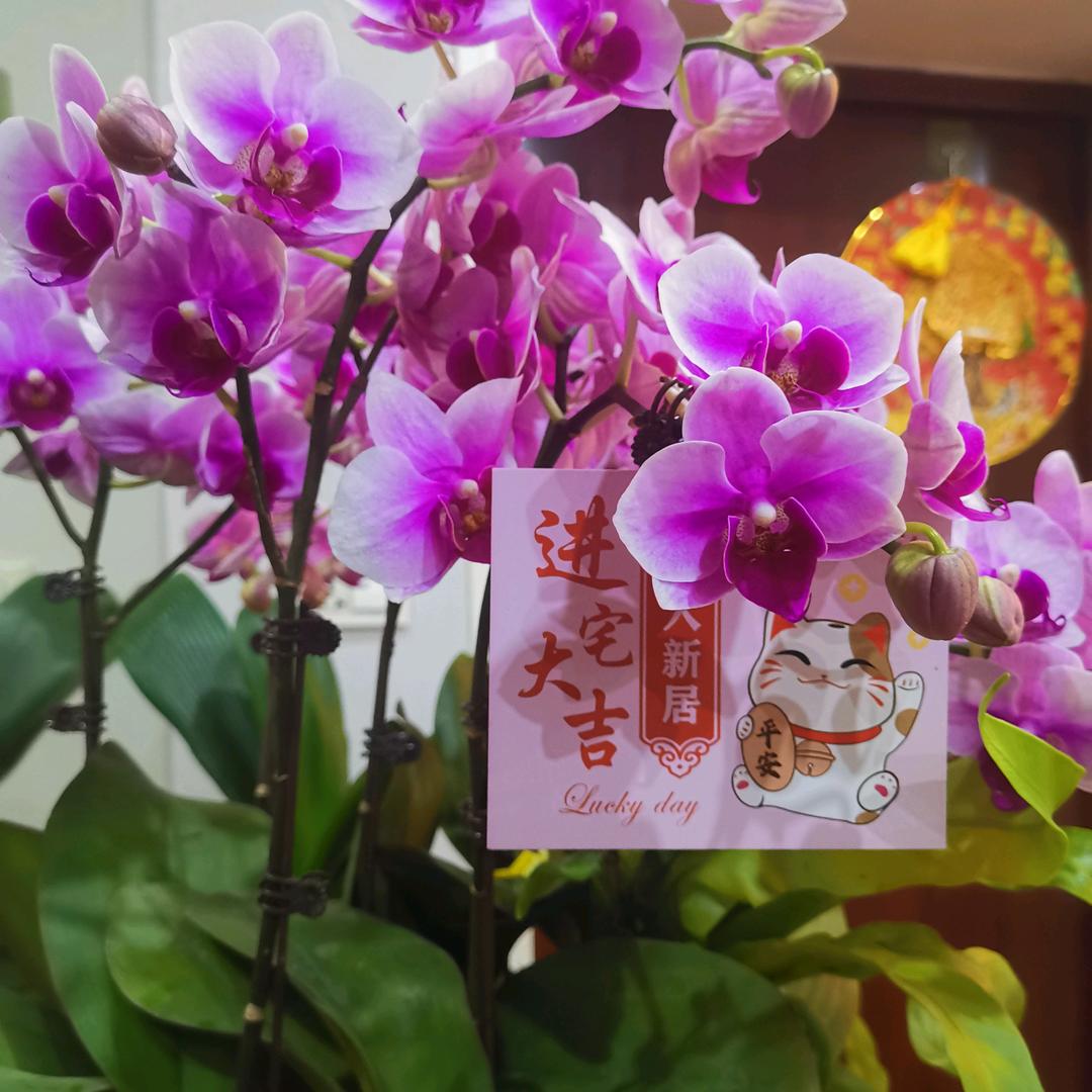 怎么开心怎么玩