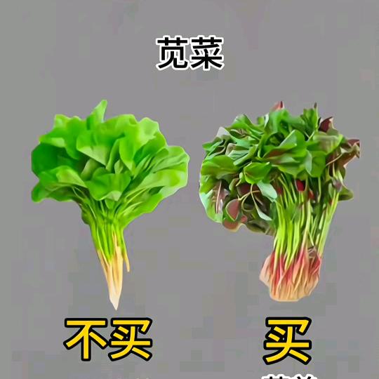 苋菜哥