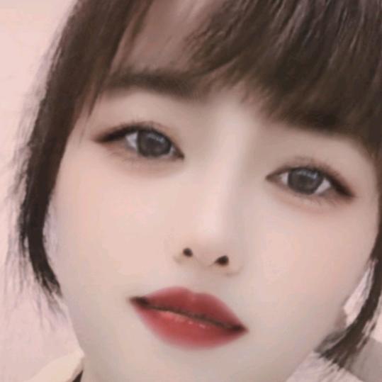 树影摇窗