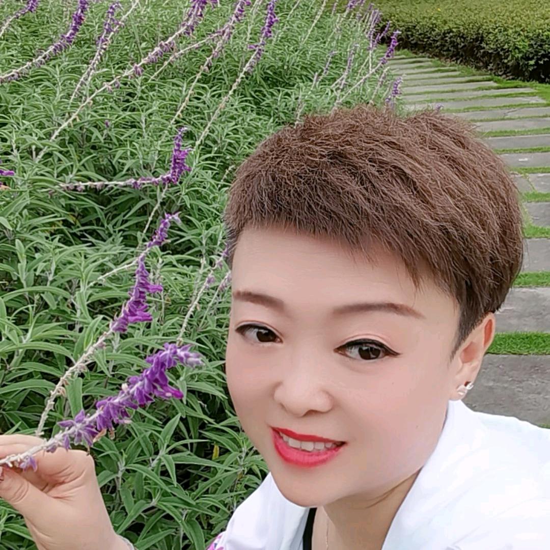 丽姐吖（首播早上8:10）