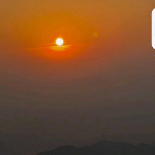 余红