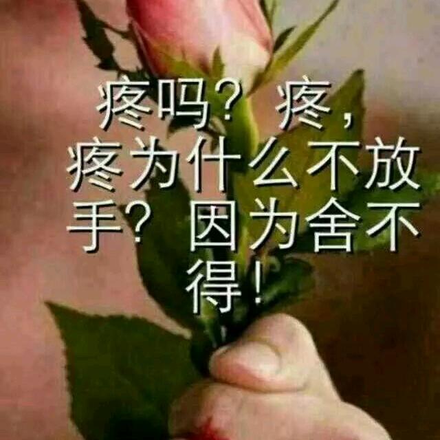 我只在乎你
