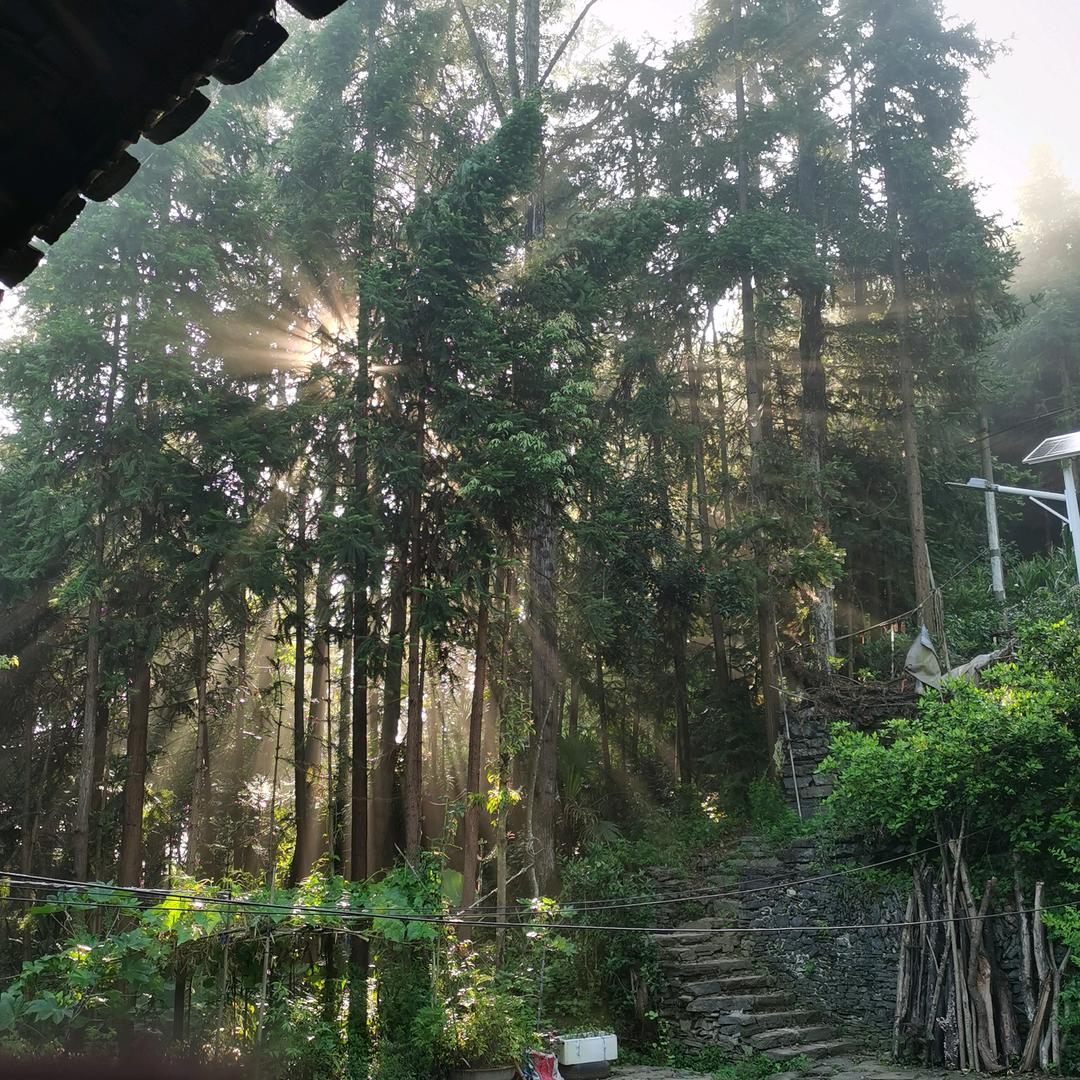 小鱼er