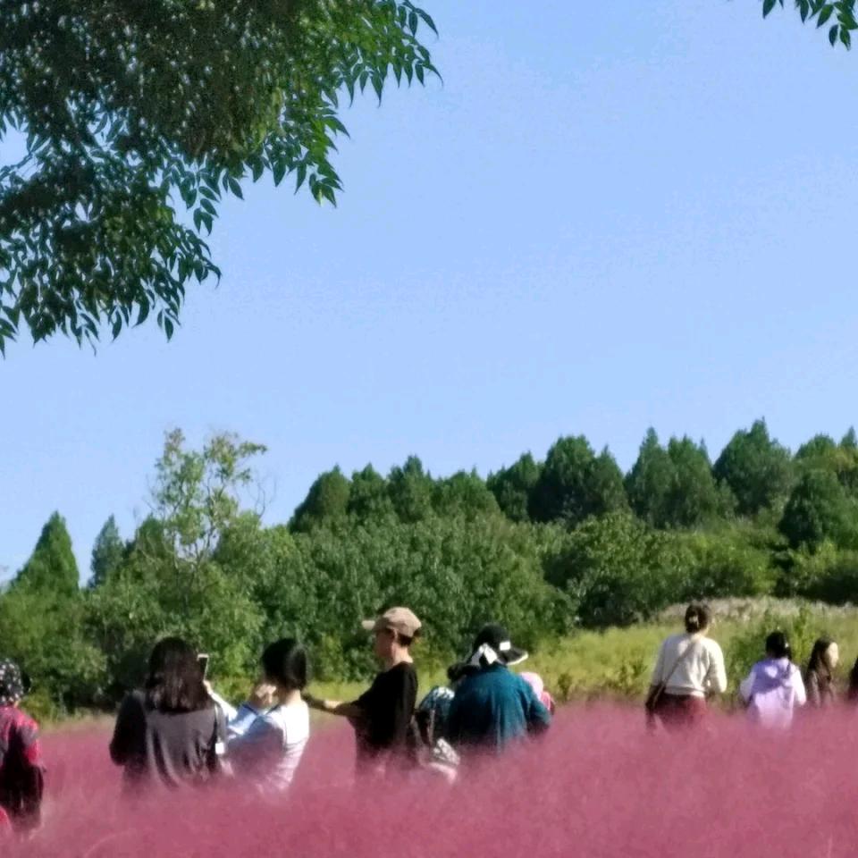 飞翔哥头像